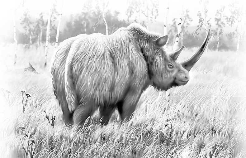 Иллюстрация к книге — Взламывая биологию [i_086.jpg]