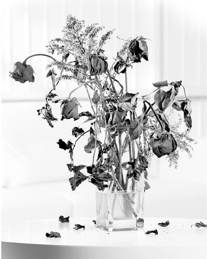 Иллюстрация к книге — Взламывая биологию [i_103.jpg]