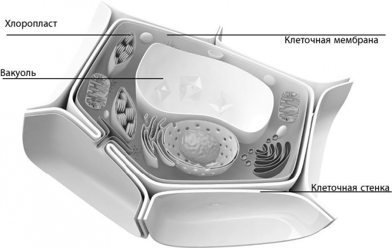 Иллюстрация к книге — Взламывая биологию [i_105.jpg]