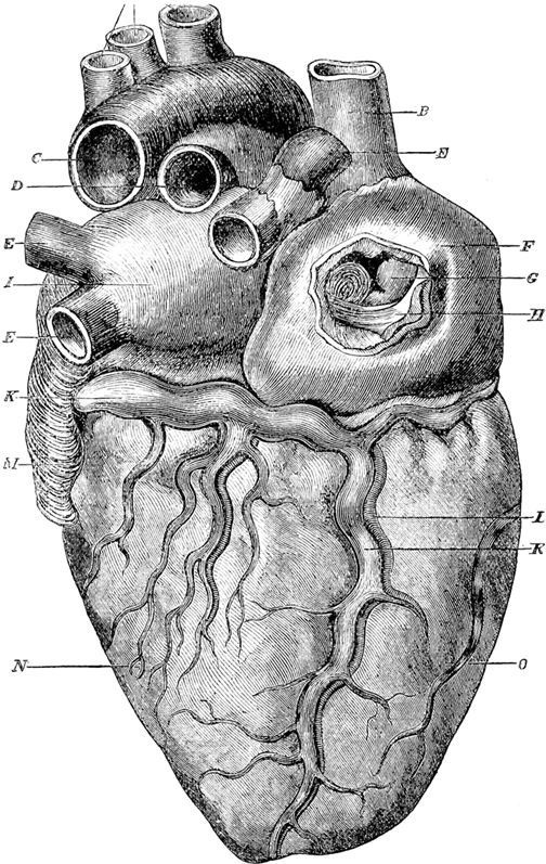 Иллюстрация к книге — Взламывая биологию [i_109.jpg]