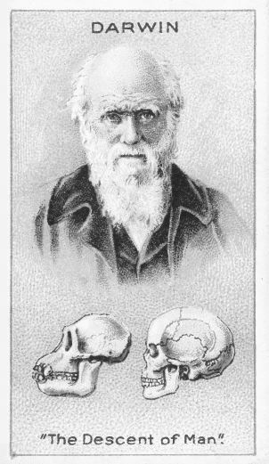 Иллюстрация к книге — Взламывая биологию [i_114.jpg]