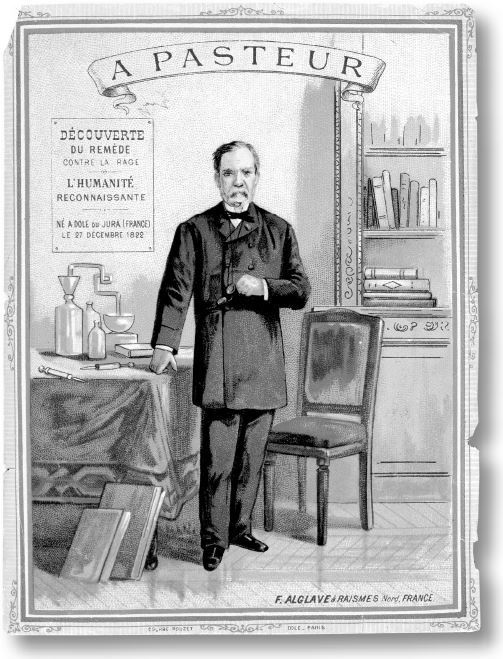 Иллюстрация к книге — Взламывая биологию [i_129.jpg]