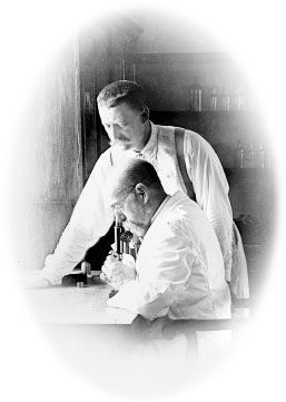 Иллюстрация к книге — Взламывая биологию [i_133.jpg]