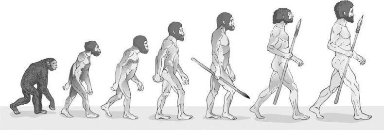 Иллюстрация к книге — Взламывая биологию [i_144.jpg]