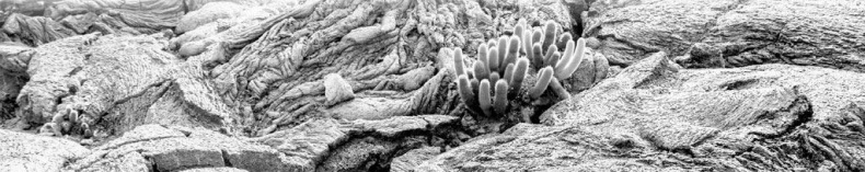 Иллюстрация к книге — Взламывая биологию [i_148.jpg]