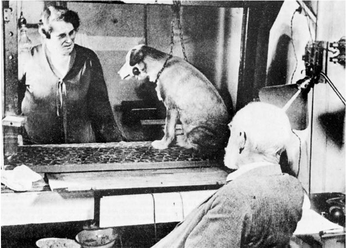 Иллюстрация к книге — Взламывая биологию [i_157.jpg]