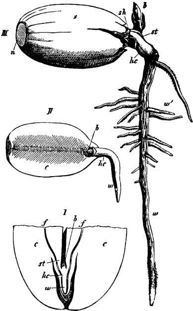 Иллюстрация к книге — Взламывая биологию [i_159.jpg]