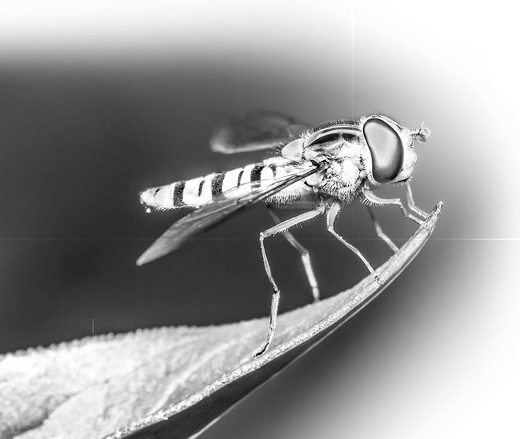 Иллюстрация к книге — Взламывая биологию [i_160.jpg]