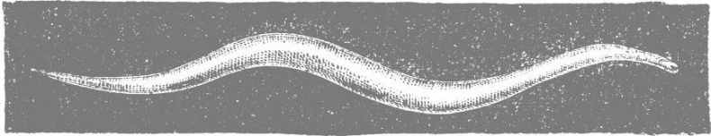 Иллюстрация к книге — Взламывая биологию [i_161.jpg]