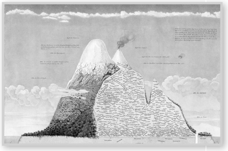 Иллюстрация к книге — Взламывая биологию [i_177.jpg]