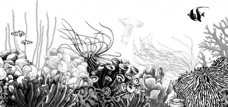 Иллюстрация к книге — Взламывая биологию [i_179.jpg]