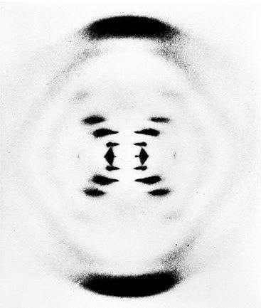 Иллюстрация к книге — Взламывая биологию [i_184.jpg]