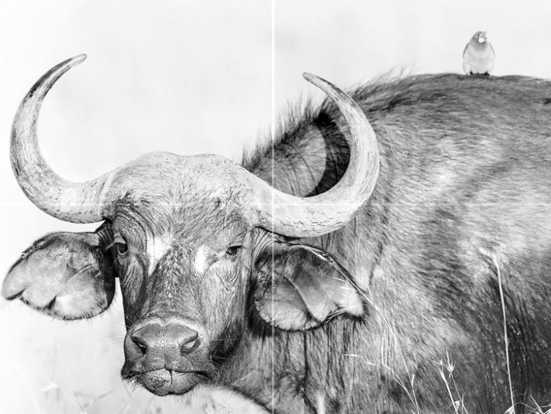 Иллюстрация к книге — Взламывая биологию [i_190.jpg]