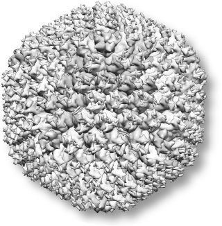 Иллюстрация к книге — Взламывая биологию [i_191.jpg]