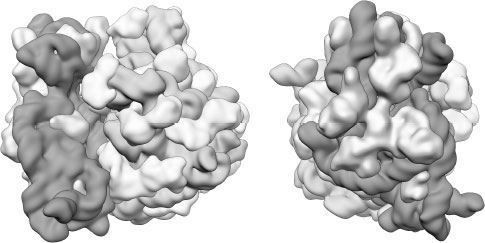 Иллюстрация к книге — Взламывая биологию [i_192.jpg]