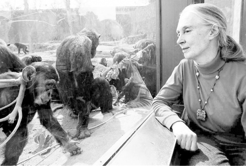 Иллюстрация к книге — Взламывая биологию [i_196.jpg]