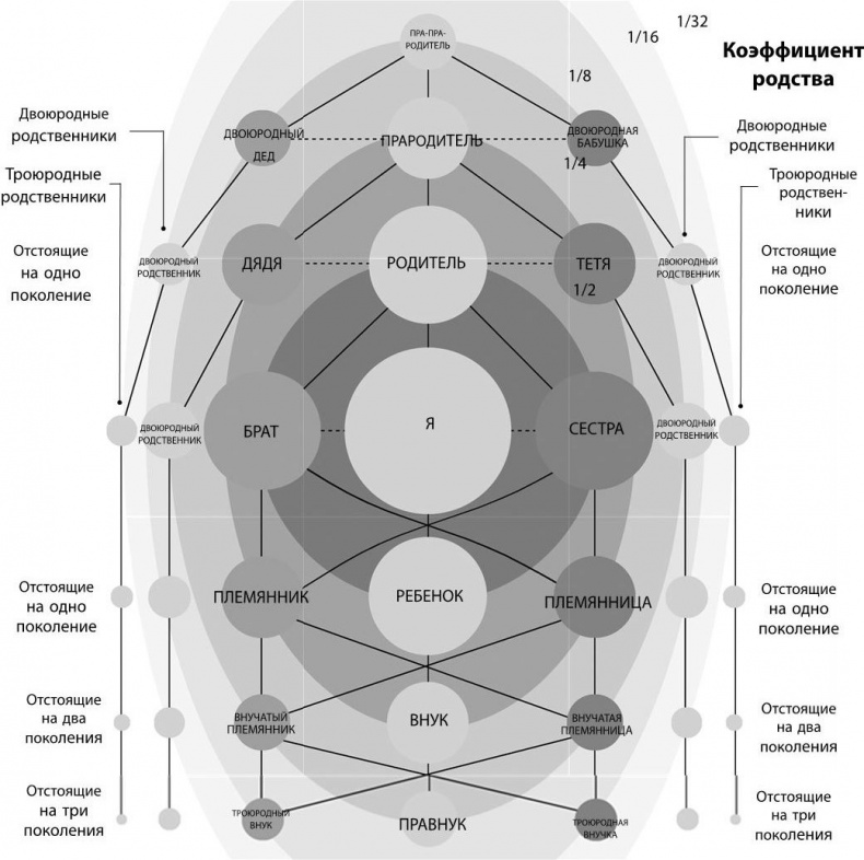 Иллюстрация к книге — Взламывая биологию [i_199.jpg]