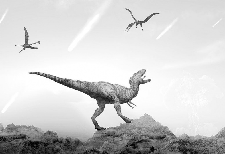 Иллюстрация к книге — Взламывая биологию [i_209.jpg]