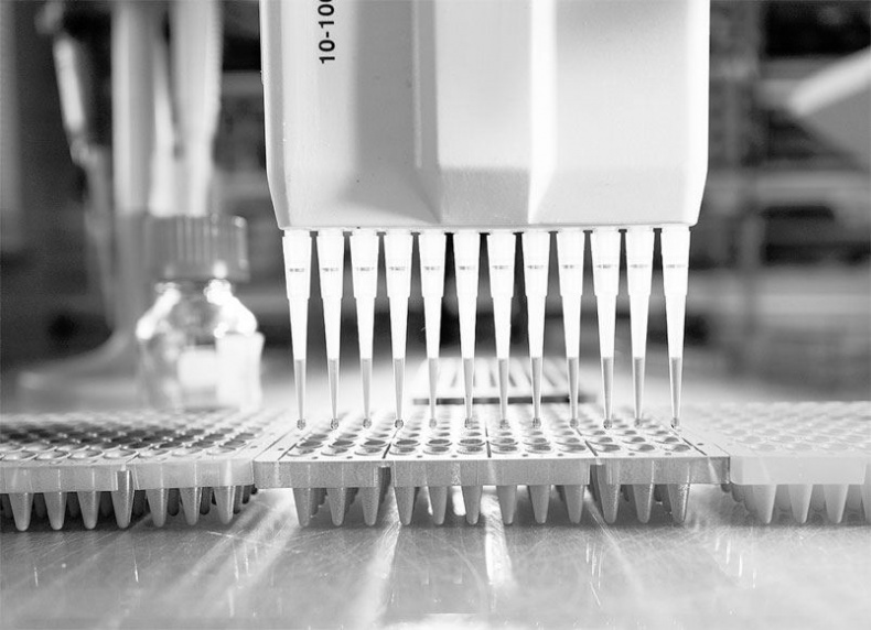 Иллюстрация к книге — Взламывая биологию [i_212.jpg]