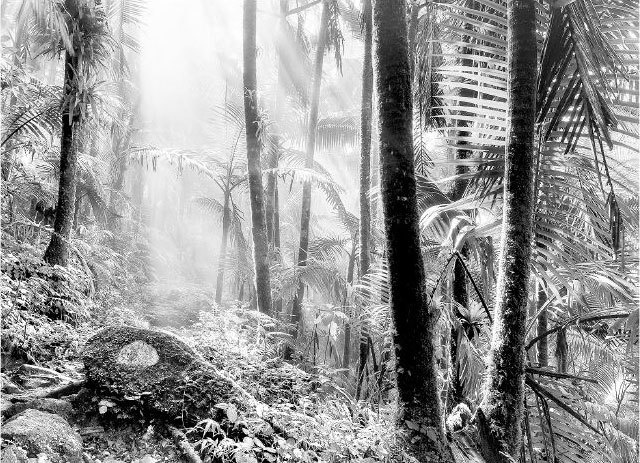 Иллюстрация к книге — Взламывая биологию [i_216.jpg]