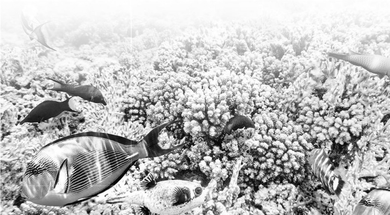 Иллюстрация к книге — Взламывая биологию [i_217.jpg]