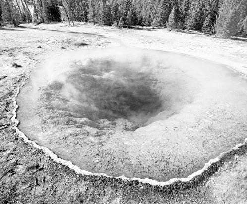 Иллюстрация к книге — Взламывая биологию [i_219.jpg]