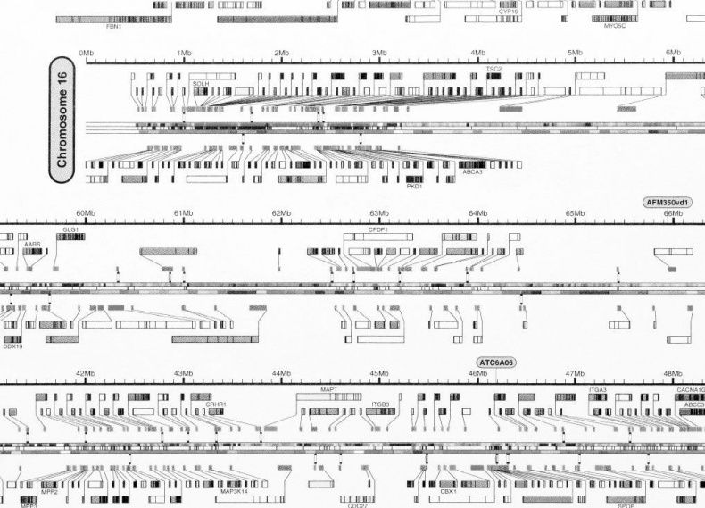 Иллюстрация к книге — Взламывая биологию [i_222.jpg]