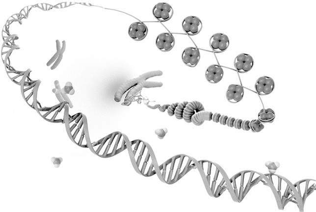 Иллюстрация к книге — Взламывая биологию [i_223.jpg]