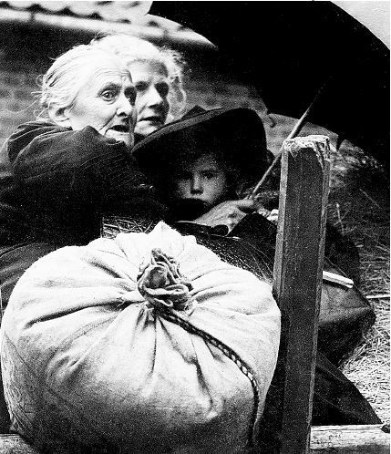 Иллюстрация к книге — Взламывая биологию [i_224.jpg]