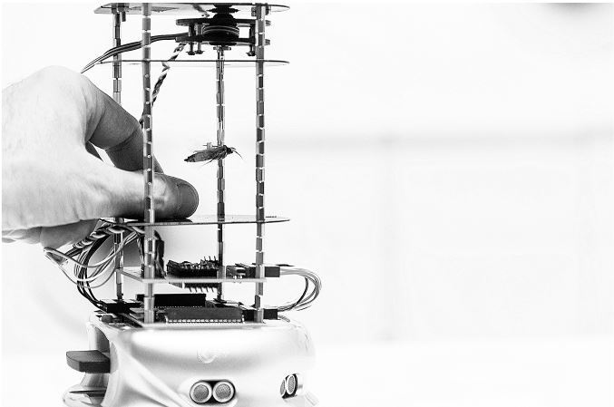 Иллюстрация к книге — Взламывая биологию [i_226.jpg]