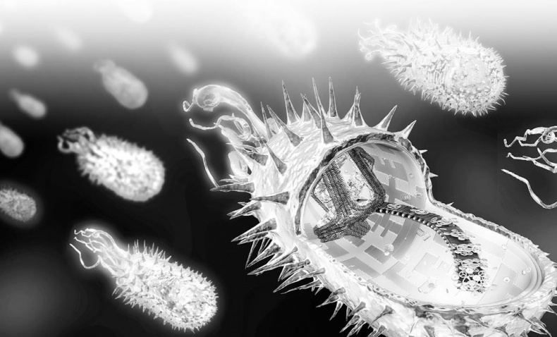 Иллюстрация к книге — Взламывая биологию [i_227.jpg]