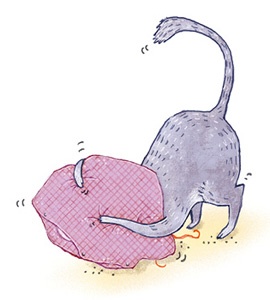 Иллюстрация к книге — А кота спросить забыли? [i_004.jpg]