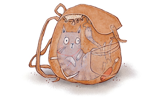 Иллюстрация к книге — А кота спросить забыли? [i_030.jpg]