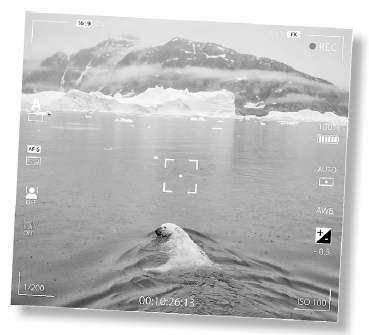 Иллюстрация к книге — Тайна «Небьюлы» [img_23.jpg]