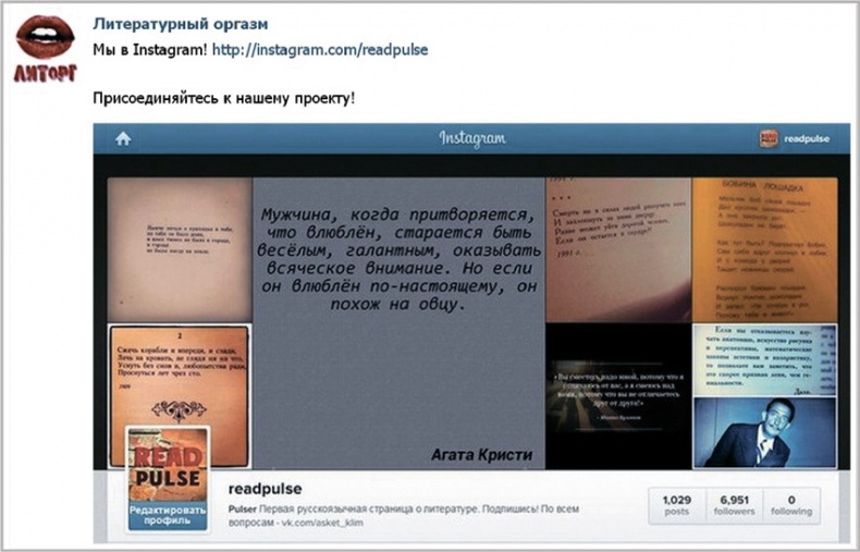 Иллюстрация к книге — Бизнес в Instagram. От регистрации до первых денег [i_002.jpg]