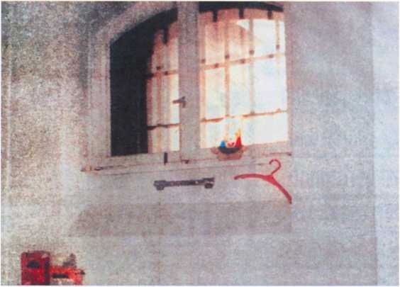 Иллюстрация к книге — Тайна смерти Рудольфа Гесса [i_070.jpg]