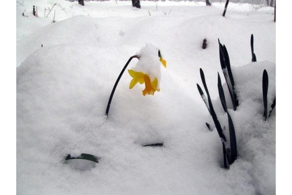 Иллюстрация к книге — Поэзия Басё. Перевод и смысл [image23_5dc5380893a3b10700161f1f_jpg.jpg]