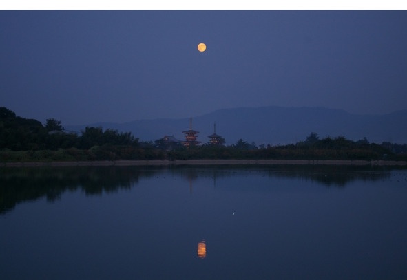 Иллюстрация к книге — Поэзия Басё. Перевод и смысл [image24_5dc5394c93a3b10700161f21_jpg.jpg]