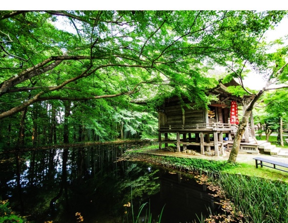 Иллюстрация к книге — Поэзия Басё. Перевод и смысл [image34_5dc53e0d93a3b10700161f3c_jpg.jpg]