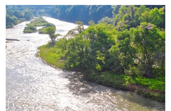 Иллюстрация к книге — Поэзия Басё. Перевод и смысл [image36_5dc53f3d93a3b10700161f41_jpg.jpg]