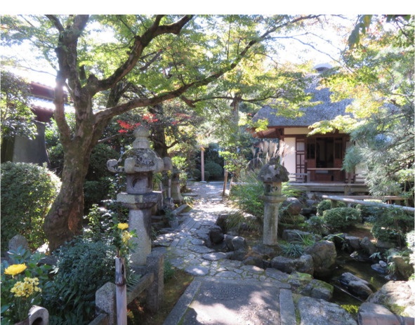 Иллюстрация к книге — Поэзия Басё. Перевод и смысл [image44_5dc543a193a3b10700161f4f_jpg.jpg]