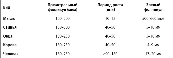 Иллюстрация к книге — Это все гормоны! [i_004.jpg]