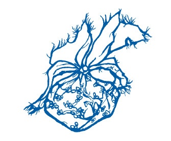 Иллюстрация к книге — Звёздная Река [i_031.jpg]