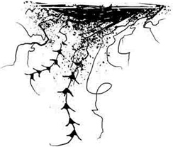 Иллюстрация к книге — Болотница [i_003.jpg]