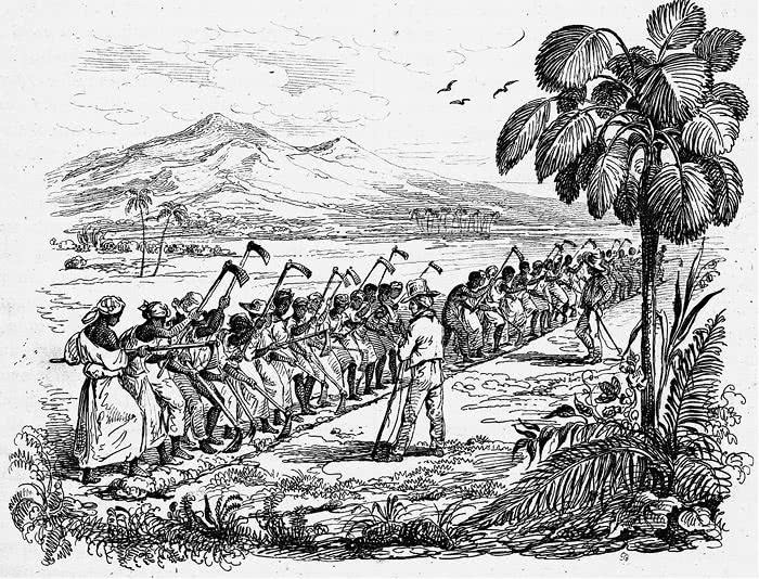 Иллюстрация к книге — Открытие природы [i_021.jpg]