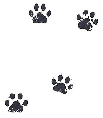 Иллюстрация к книге — Дело о похищенном сыре [_005.jpg]