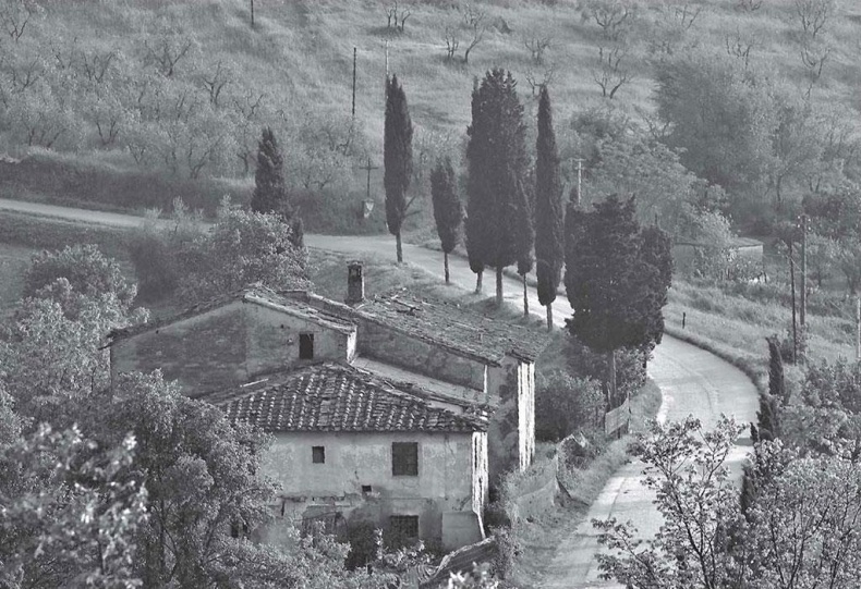 Иллюстрация к книге — Нежная магия Тосканы. Вино, коты и призраки [i_002.jpg]