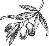 Иллюстрация к книге — Нежная магия Тосканы. Вино, коты и призраки [i_044.jpg]