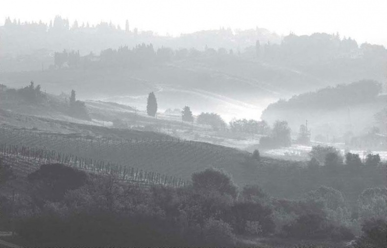 Иллюстрация к книге — Нежная магия Тосканы. Вино, коты и призраки [i_046.jpg]