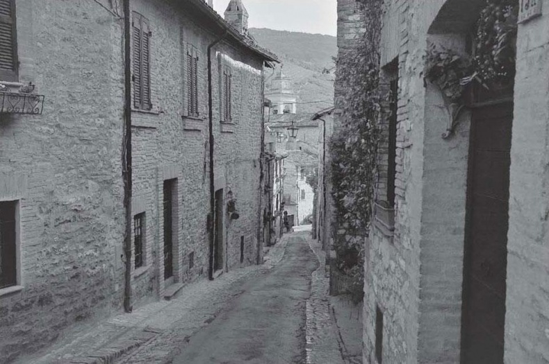 Иллюстрация к книге — Нежная магия Тосканы. Вино, коты и призраки [i_047.jpg]